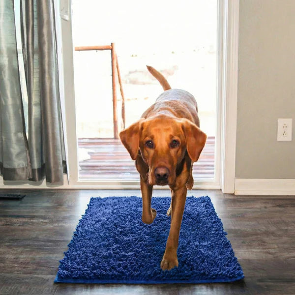 Tapis Clean’Pattes™