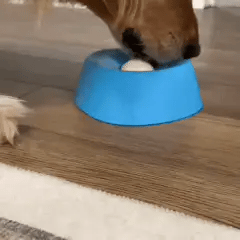 Bol Anti-Stress ZenLick™