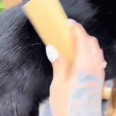 Brosse Clean'Poils™ Chevaux
