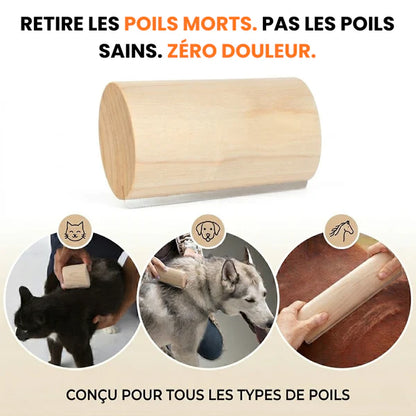 Brosse Clean'Poils™ Chevaux
