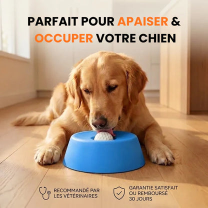 Bol Anti-Stress ZenLick™