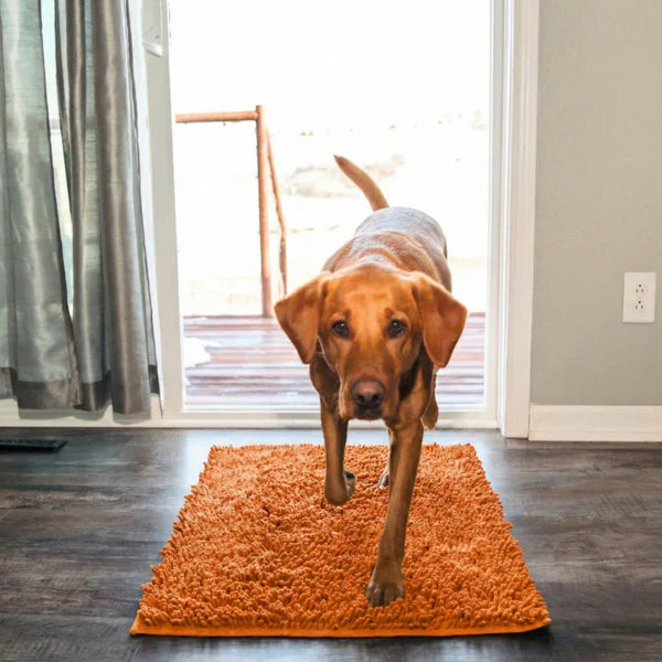 Tapis Clean’Pattes™