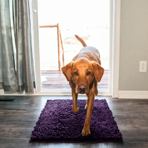 Tapis Clean’Pattes™